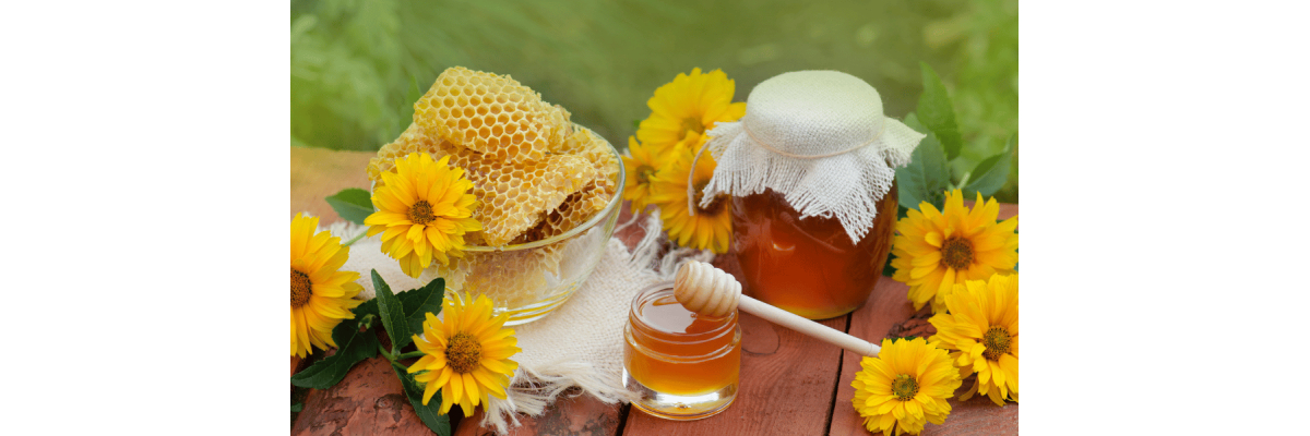 Was bedeutet sortenreiner Honig – und warum ist er so besonders? - Sortenreiner Honig – Bedeutung, Unterschiede &amp;amp; Qualität | ImkerPur