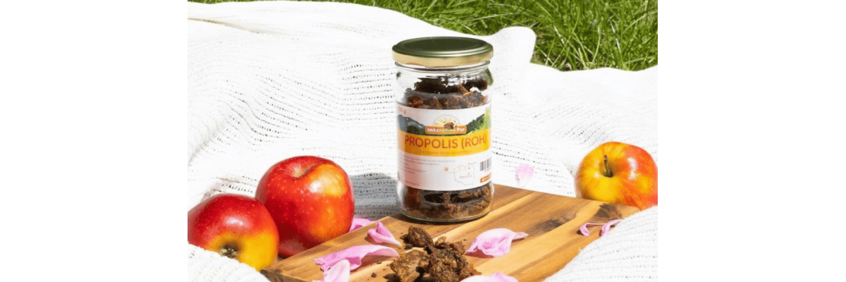Propolis – das natürliche Schutzschild der Bienen - Propolis – Wirkung, Herkunft &amp;amp; Bedeutung für die Bienen | ImkerPur