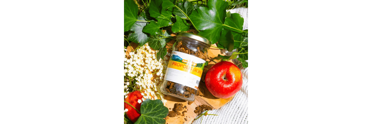 Propolis – das natürliche Schutzschild der Bienen