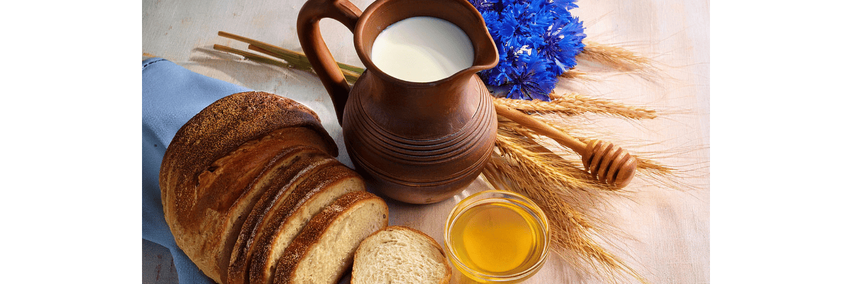 Warum Bienen für unsere Natur unverzichtbar sind - Warum Bienen so wichtig für Natur &amp;amp; Umwelt sind | ImkerPur