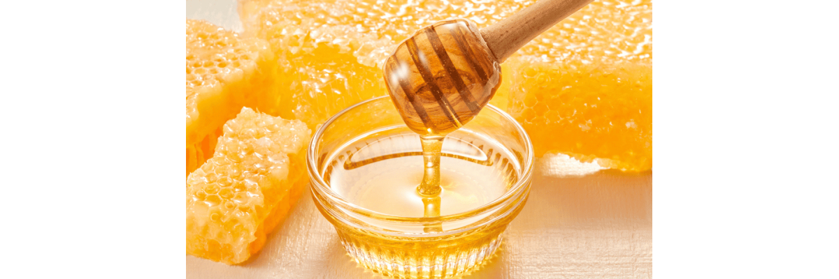 Wie Honig entsteht – von der Blüte bis ins Glas - Wie Honig entsteht – von der Blüte bis ins Glas | ImkerPur