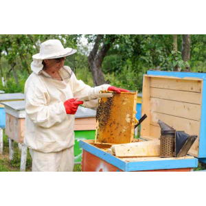 Propolis-Tinktur