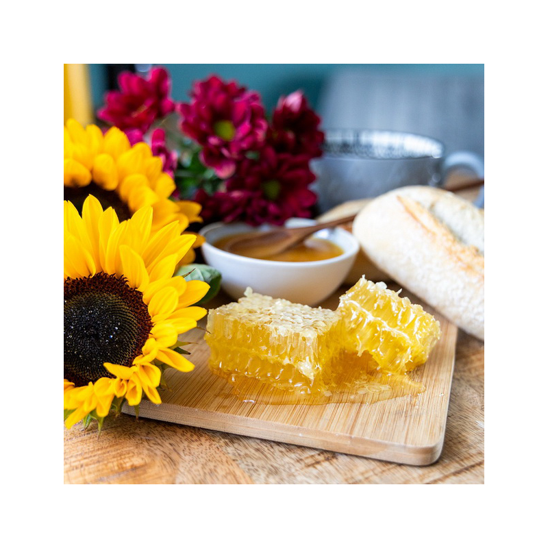 Wabenhonig mit Akazienhonig 400g | Honigwabe online kaufen