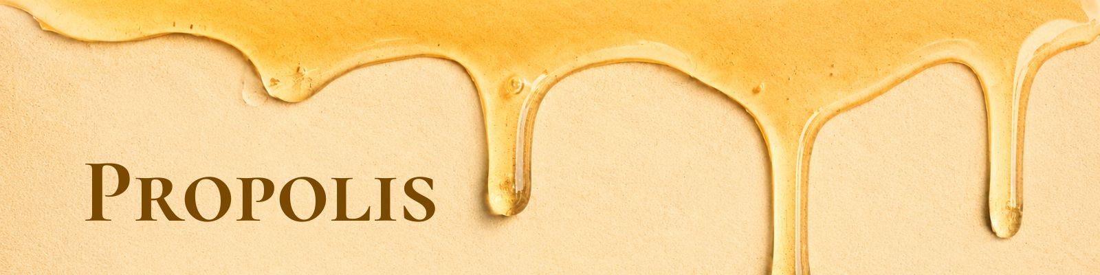 KategorieBannerPropolis1600x400.jpg